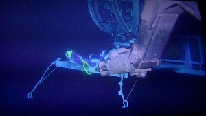 Arm of the ROV at a depth of 3500 m at KM3NeT-It